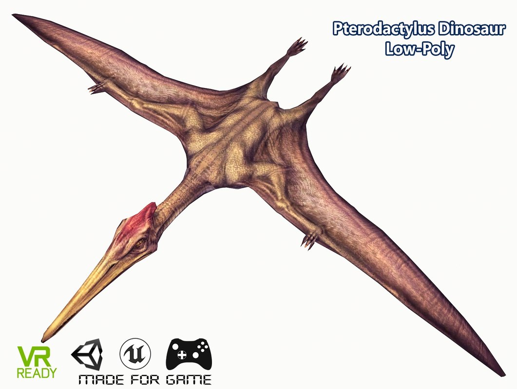 3D pterodactyl flying dinosaur model - TurboSquid 1225183