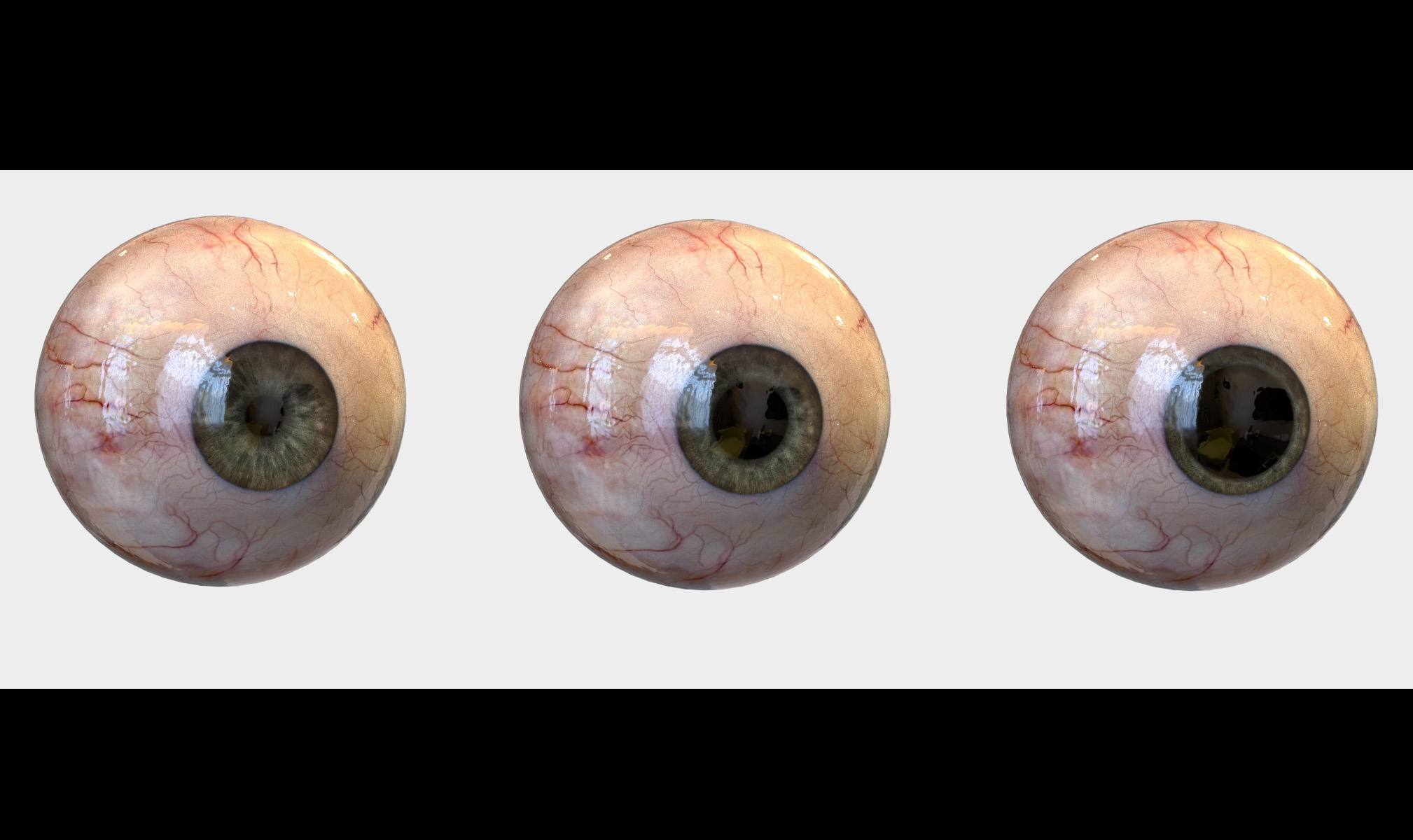 realistic human eye pupil 3d model