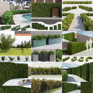 hedges shrubs model