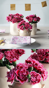 3D pink carnations ceramic vases