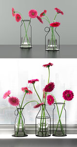 3D model gerbera daisies