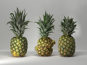 3D pineapples