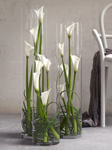 3D calla lilies set