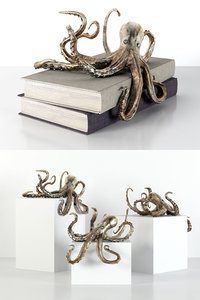 octopus shelf decor model