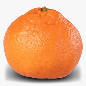 3D mandarin