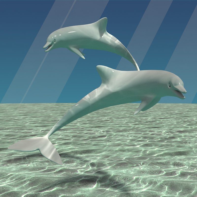dolphins 3d model dolphins 3d model