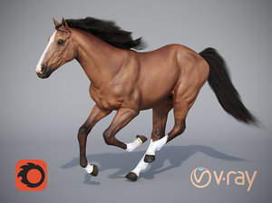 horse positions 3D model