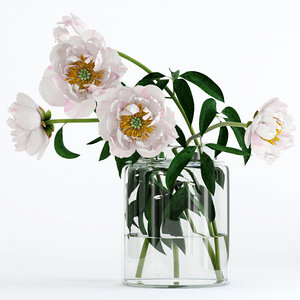 3D realistic peones flowers
