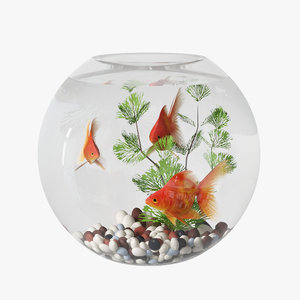 aquarium goldfish 3D model
