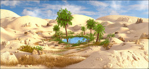 oasis 3D model