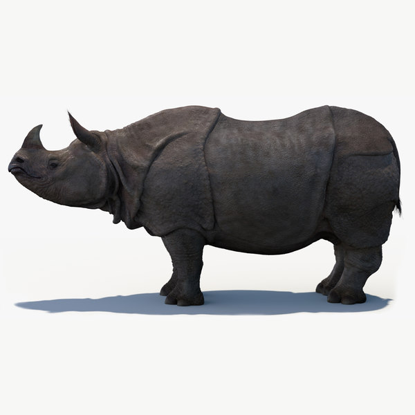 Rhinoceros 3D 7.31.23166.15001 for ipod download