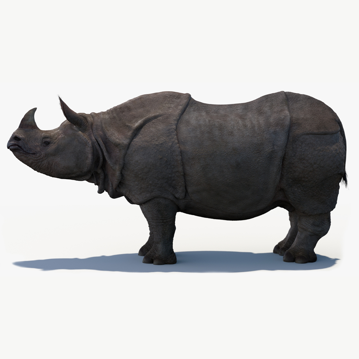 Rhinoceros 3D 7.30.23163.13001 for mac download