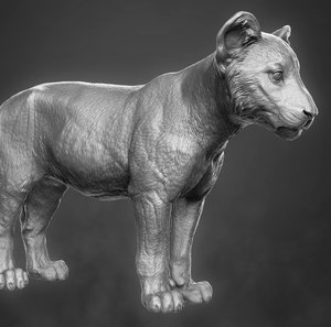 lion cub 3D