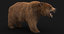 3D model bear fur