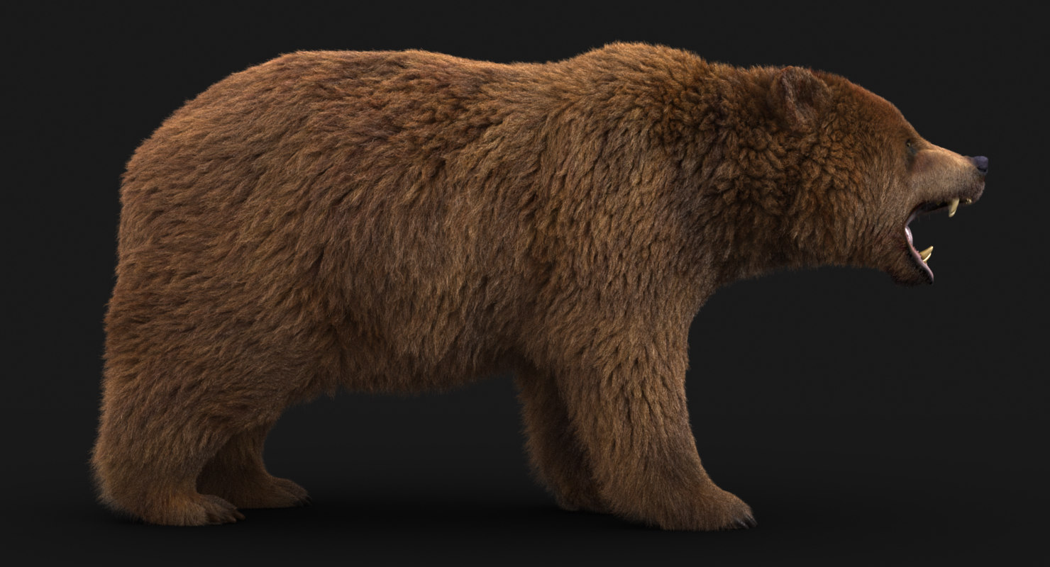 熊3fur3d模型