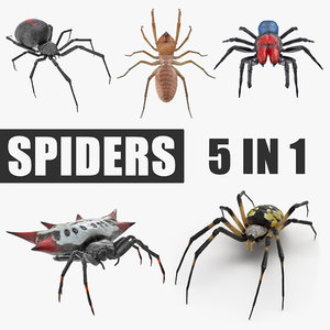 spiders camel argiope 3D model