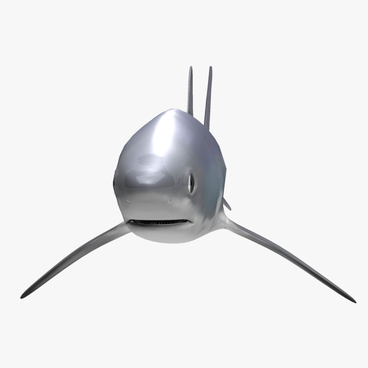 Thresher shark 3D model - TurboSquid 1228451