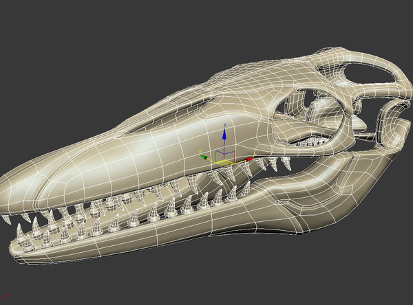 mosasaurus skeleton