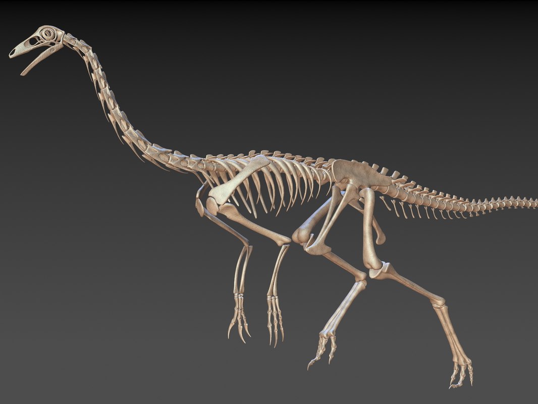 3D model ornithomimus ornithomimid dinosaurs - TurboSquid 1228749