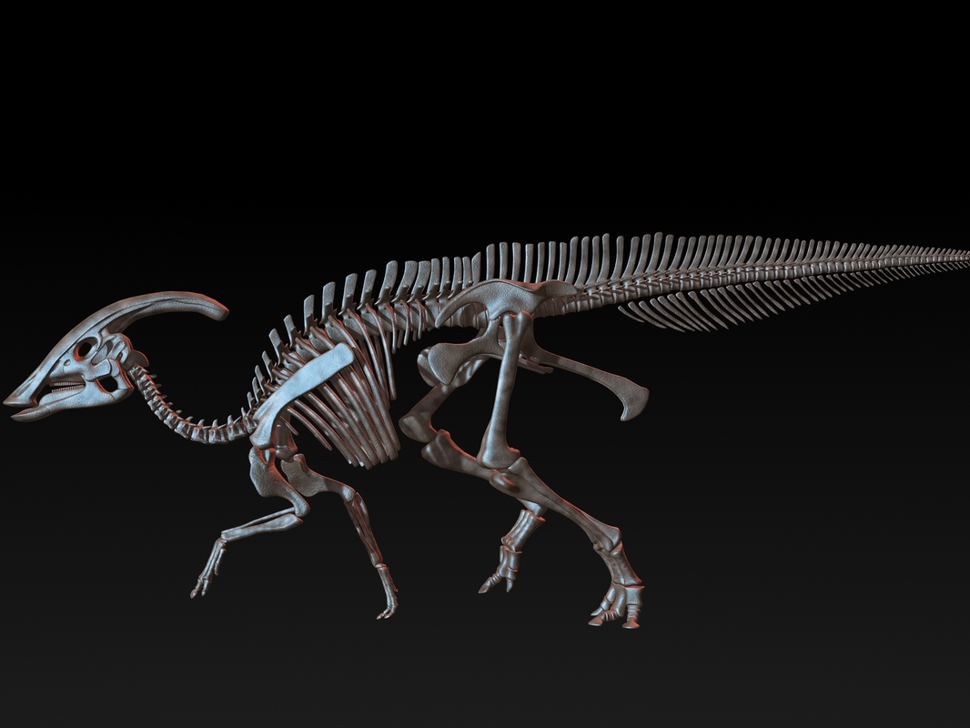 Parasaurolophus skeleton saurolophus 3D model - TurboSquid 1228757