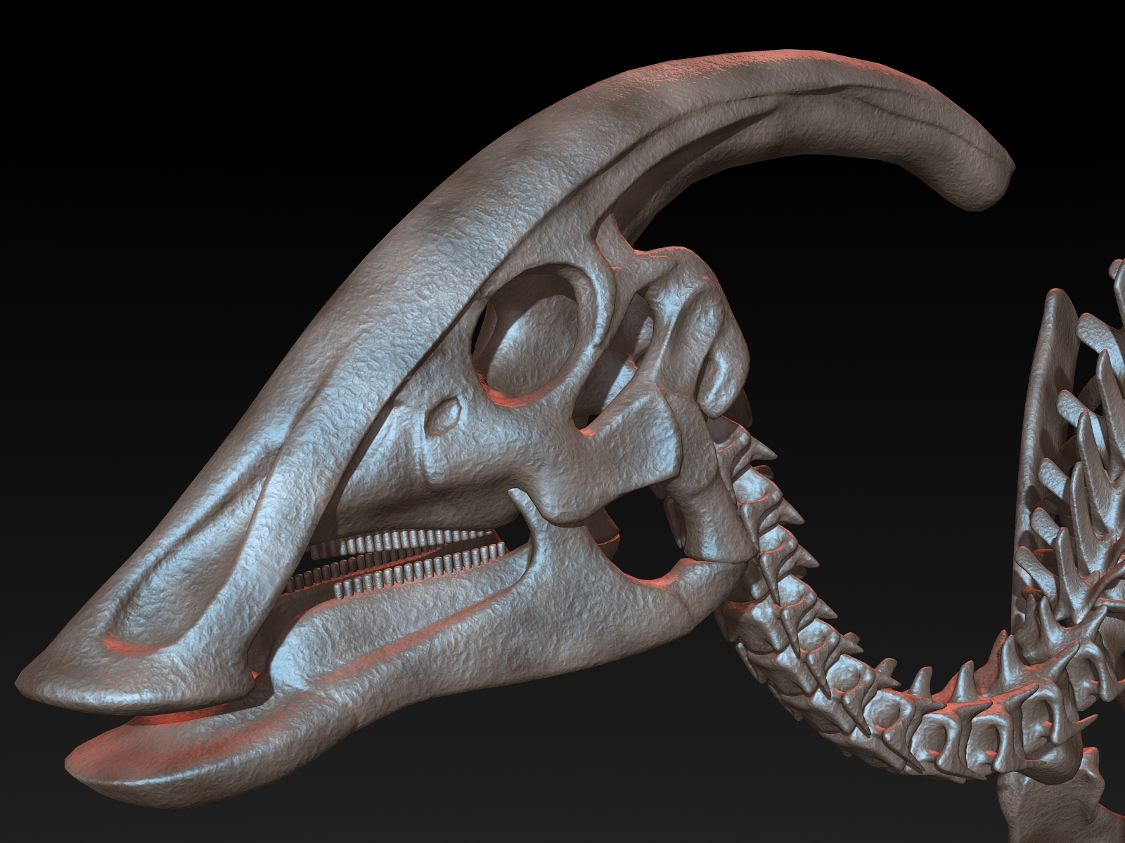 parasaurolophus skeleton