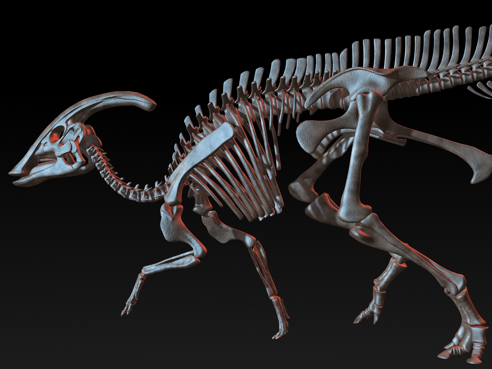 Parasaurolophus skeleton saurolophus 3D model - TurboSquid 1228757