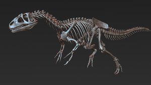 allosaurus skeleton model