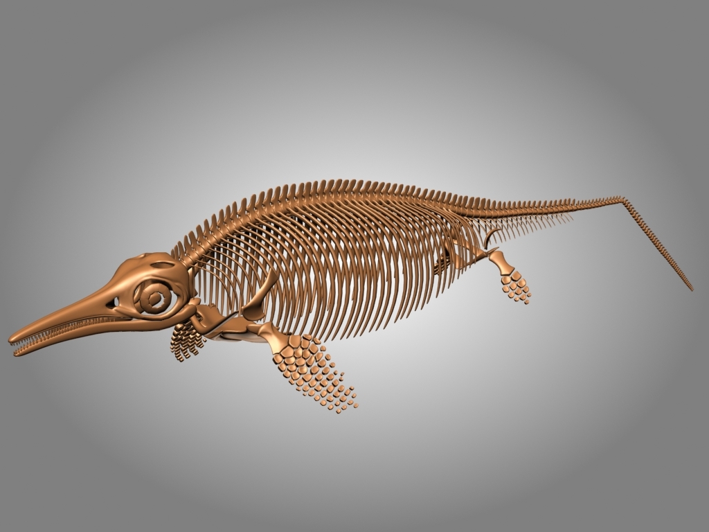 Dinosaur Skeleton 3D Models for Download TurboSquid