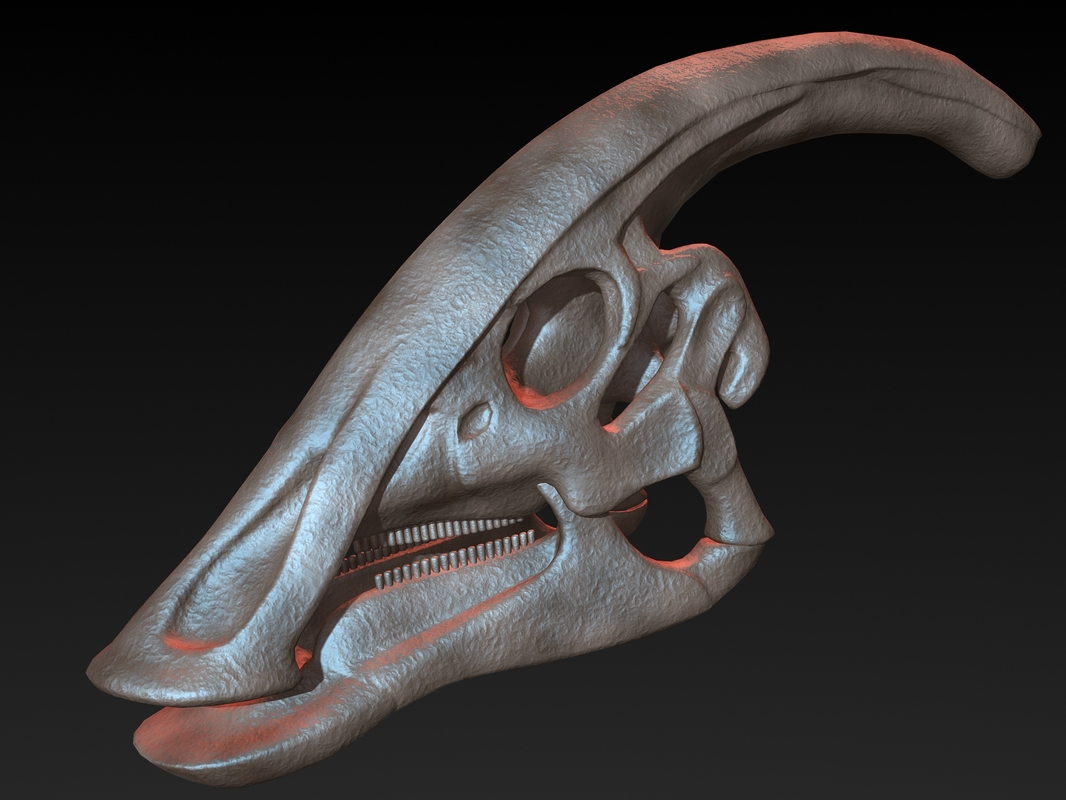 parasaurolophus head