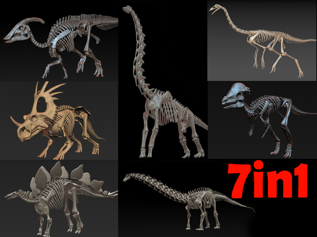 Dinosaur Skeleton 3D Models for Download TurboSquid