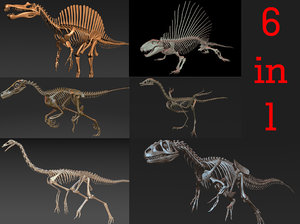 Dimetrodon skeleton 3D model - TurboSquid 1228656