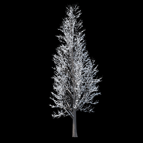 winter tree 016 3D model