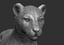 leopard panther cougar 3D model
