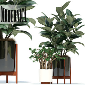 3D plants 72 modernica pots model