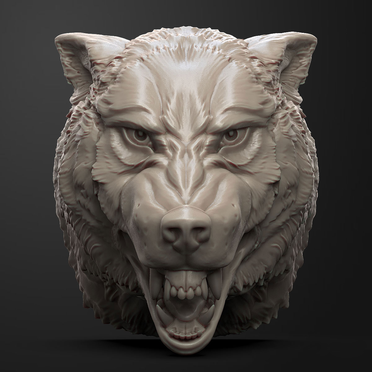 Wolf head angry 3D - TurboSquid 1230257