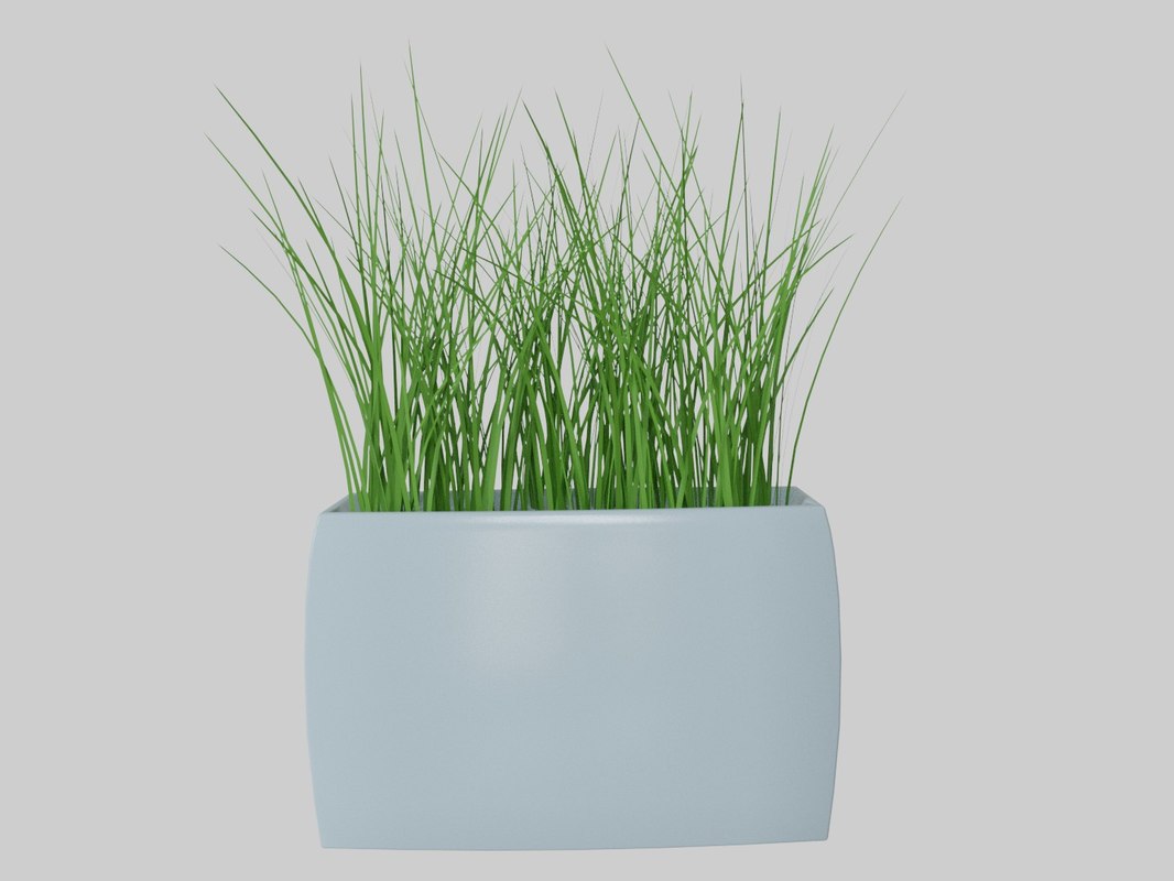 3D vases decorative grass TurboSquid 1230554