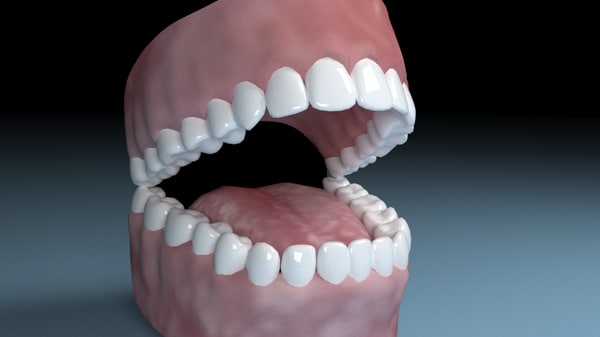 3D Tongue Models | TurboSquid