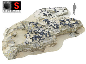 rocky coral beach ultra 3D