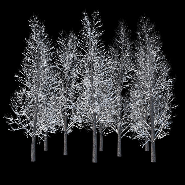 3D winter tree 019