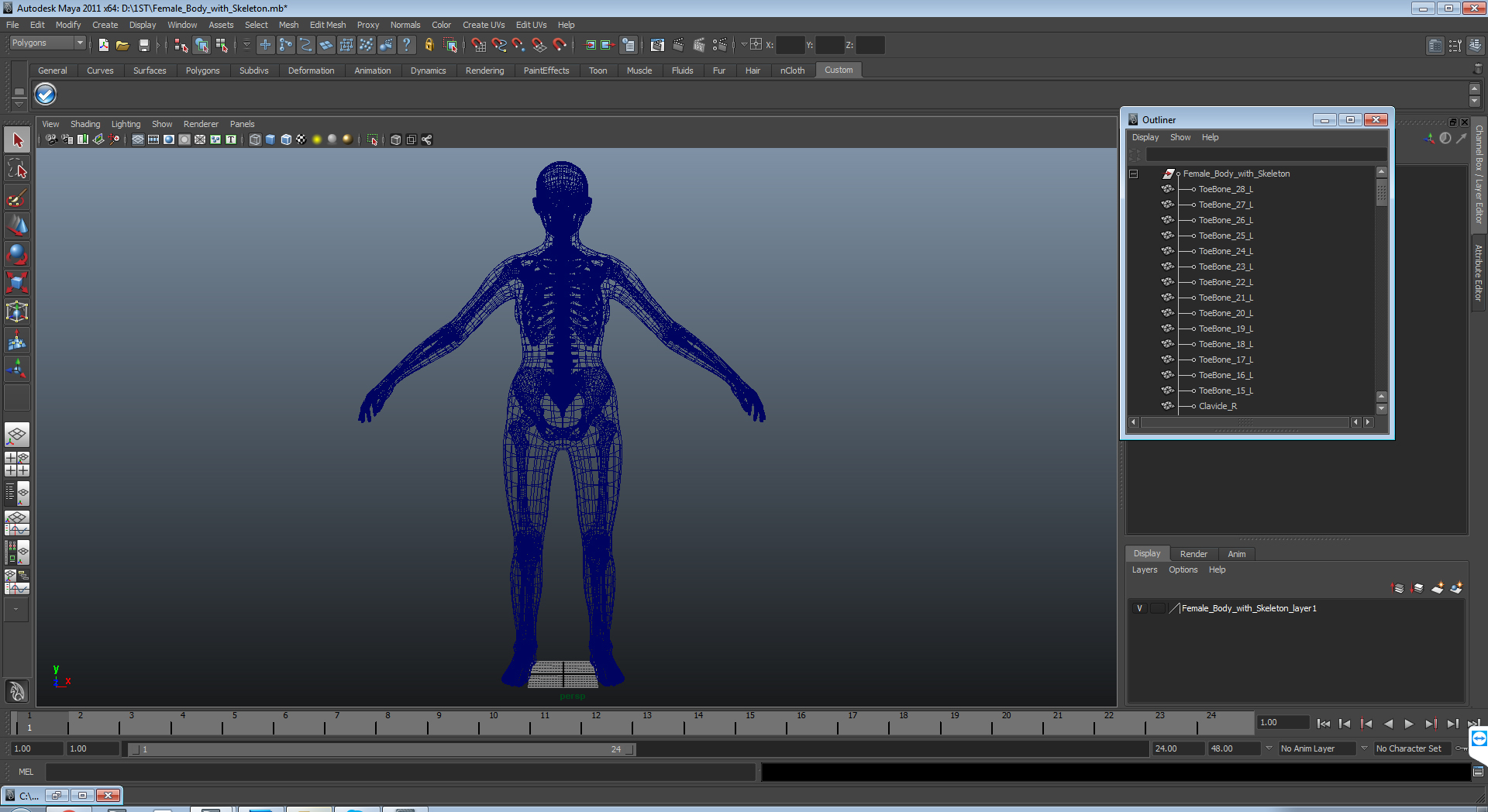 3D female body skeleton - TurboSquid 1230779