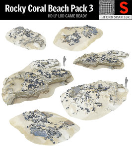 3D model rocky coral beach