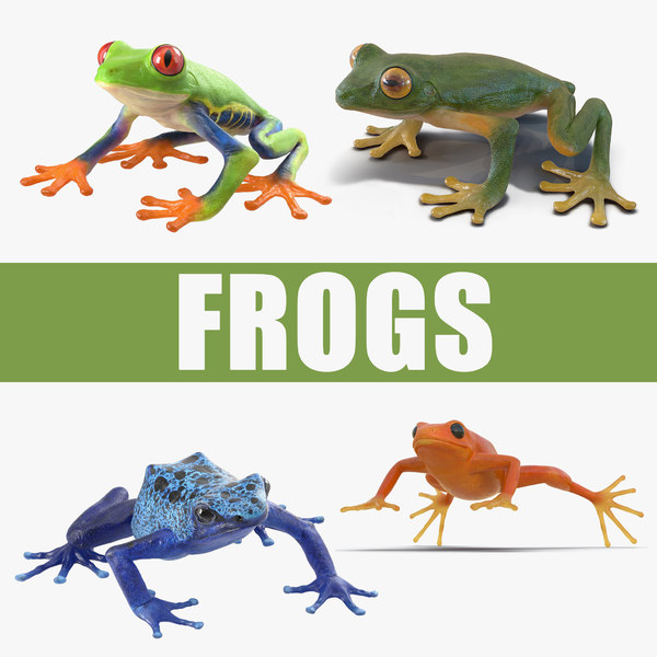 frogs 2 3D