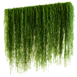 3D wall drooping plant branches