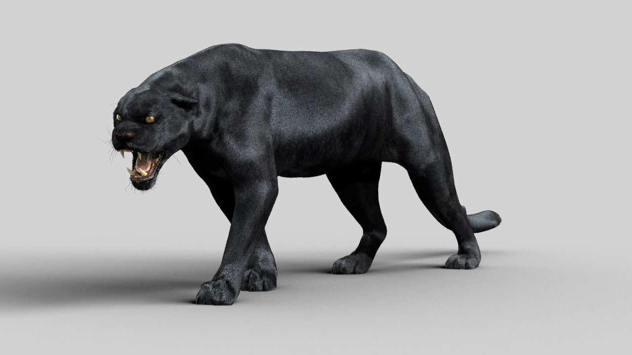  3D  model black  panther  TurboSquid 1231544