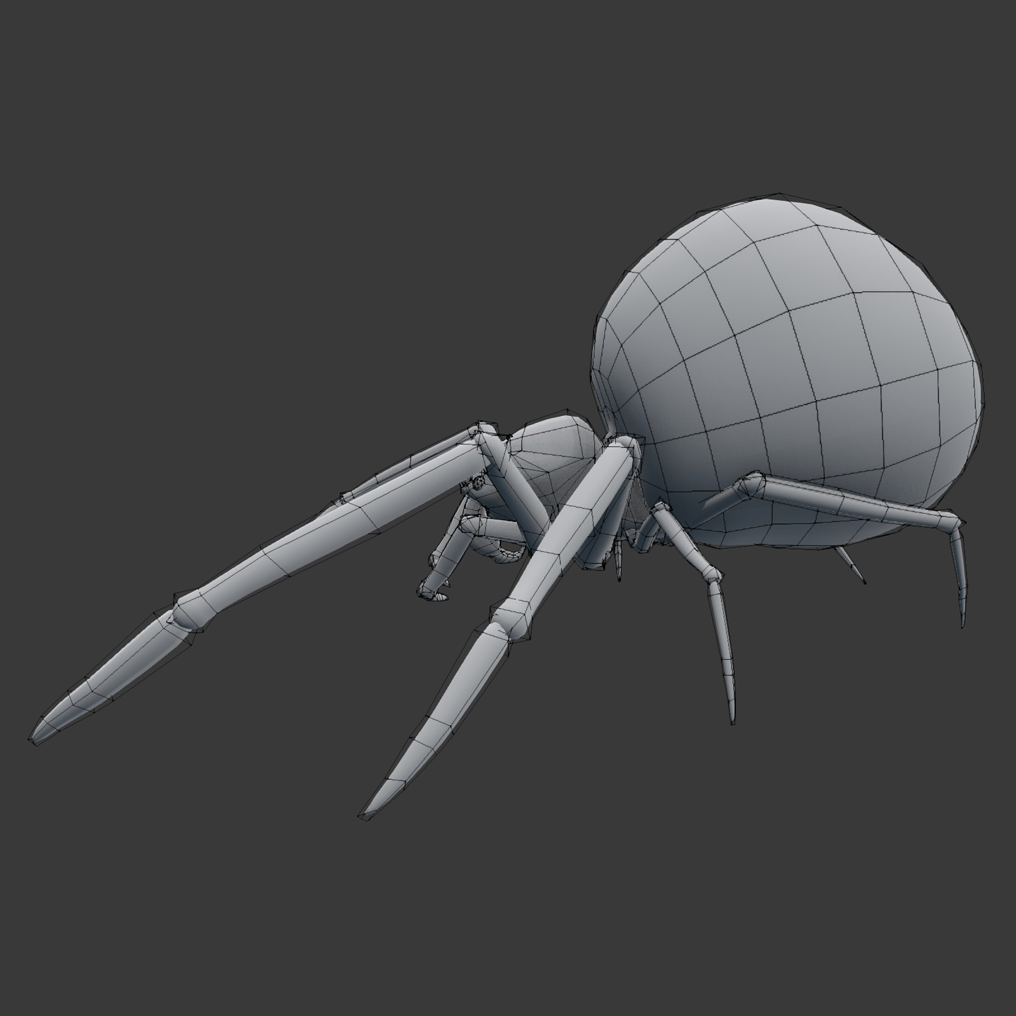 蜘蛛araneus3d模型