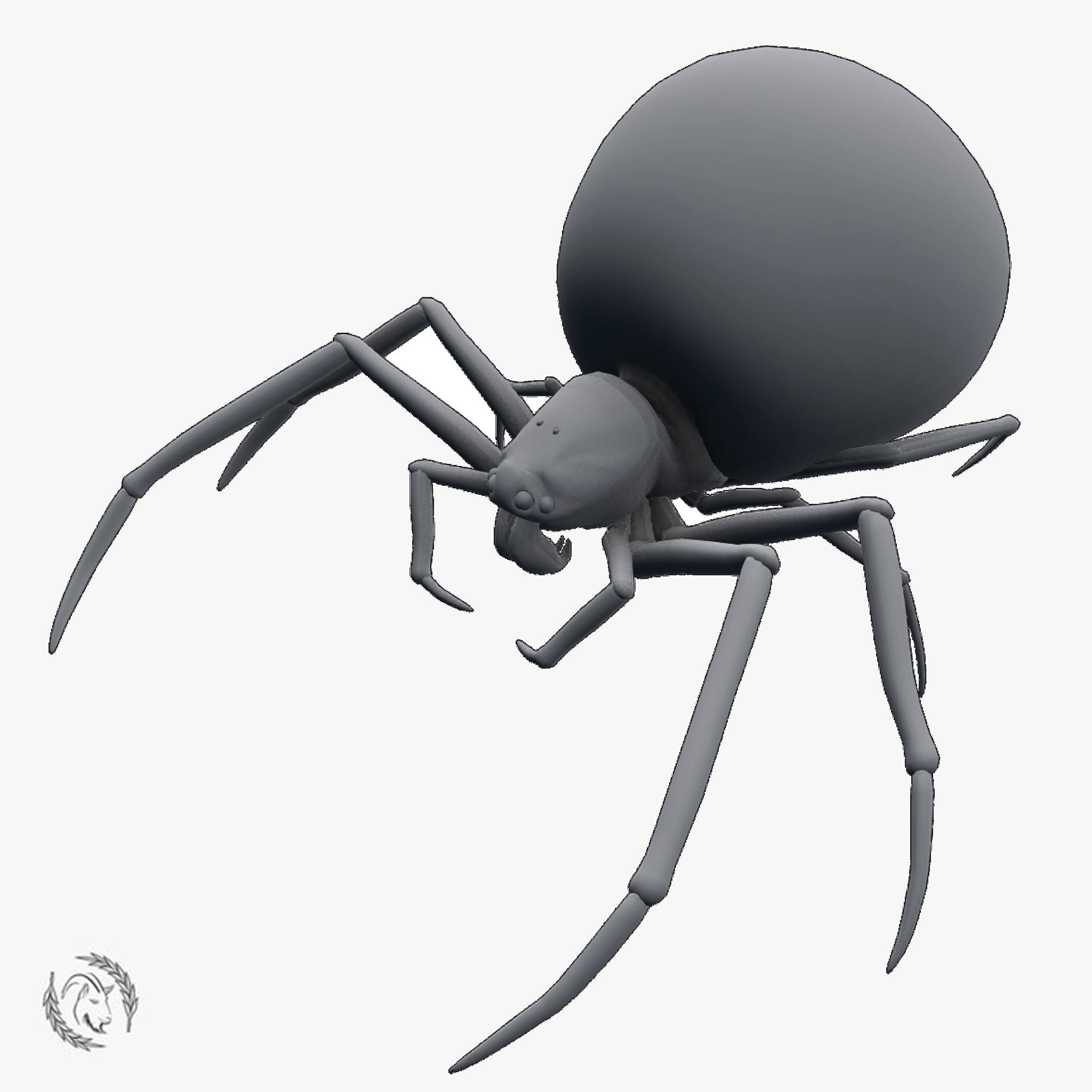 蜘蛛araneus3d模型