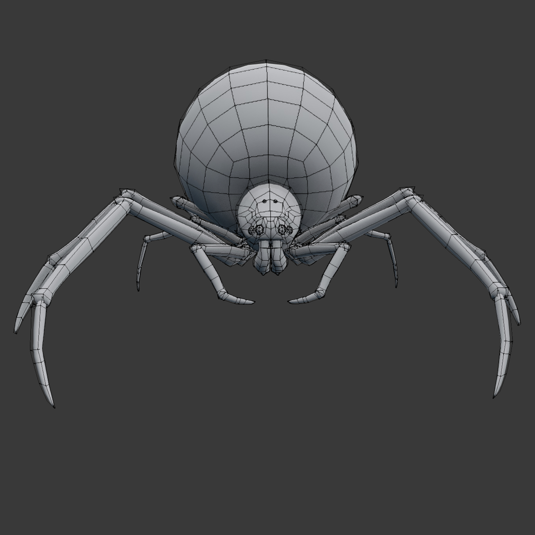 蜘蛛araneus3d模型
