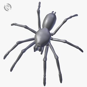 spider tarantula 3D model