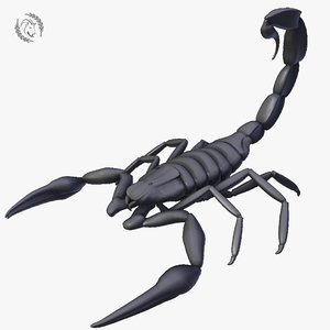 scorpion 3D