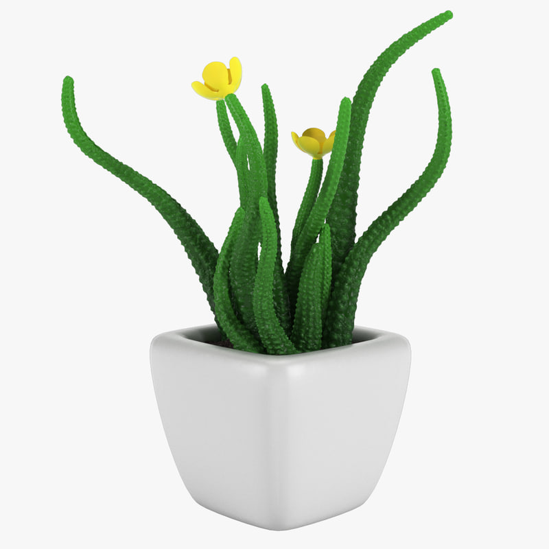  Plant  pot  3D  TurboSquid 1232558